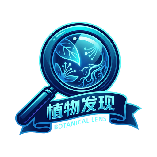 抖音揭秘